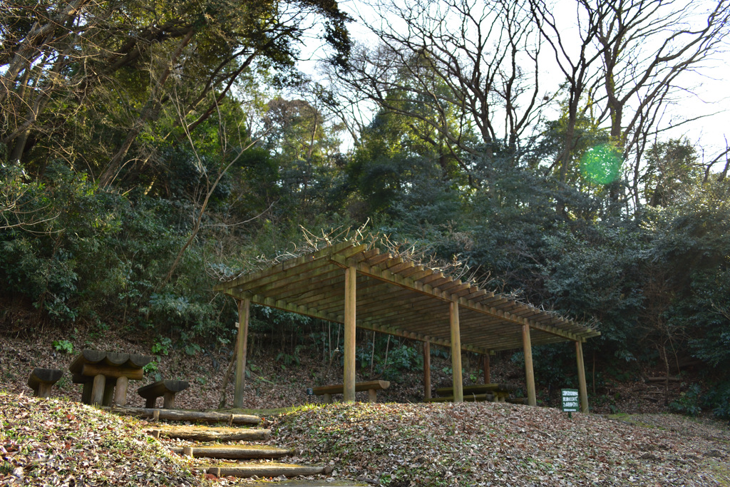 光と陰のある公園