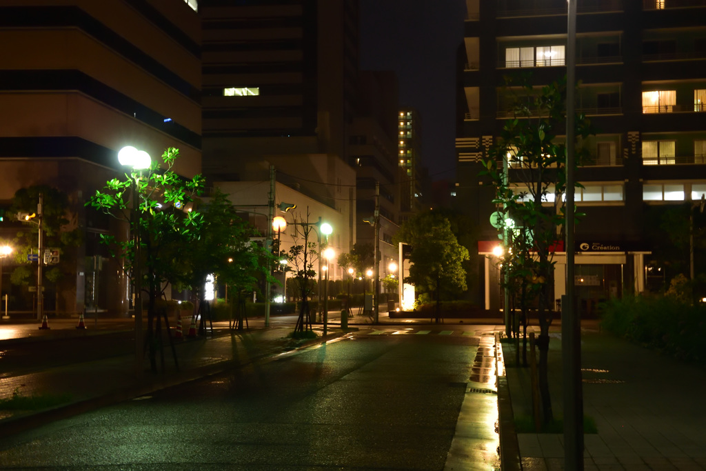 雨上がりの夜