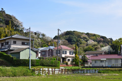 里山の春