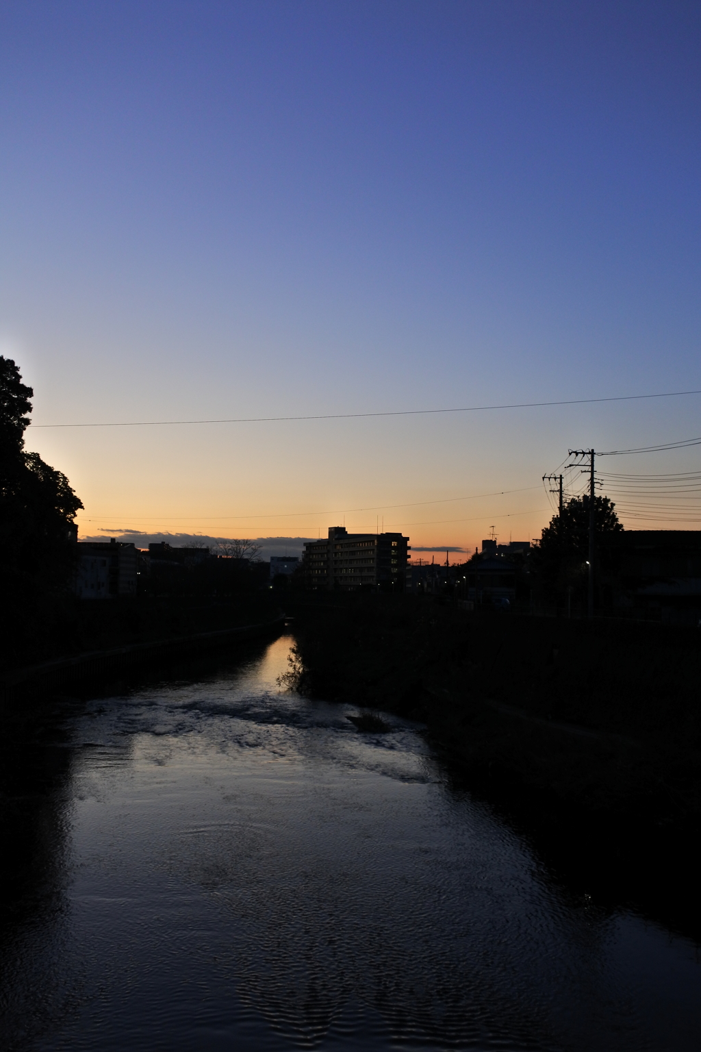 新しい写真の世界