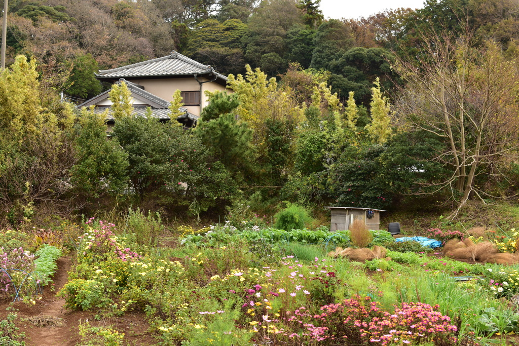 秋の園