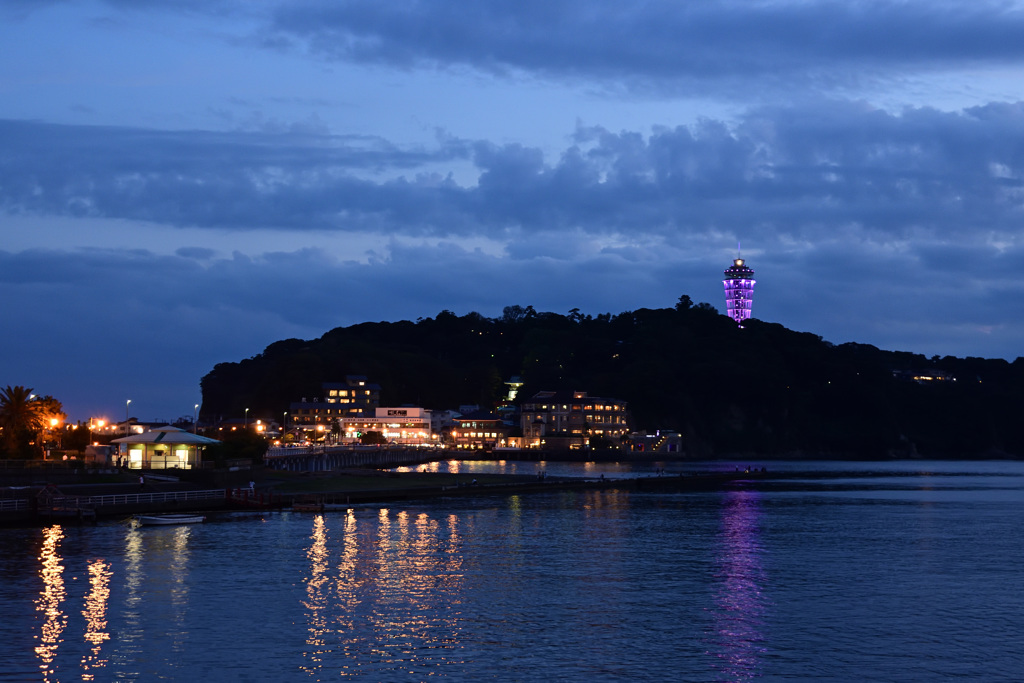 河口の島