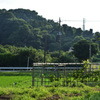 田園