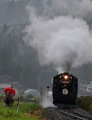 釜石線大雨でした 馬とSLに魅せられて