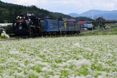 そばの花とＳＬ銀河