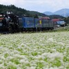 そばの花とＳＬ銀河