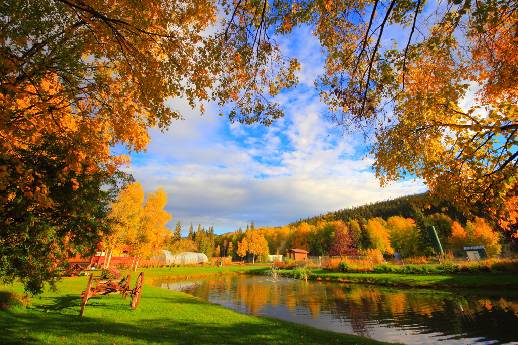 北国の紅葉物語