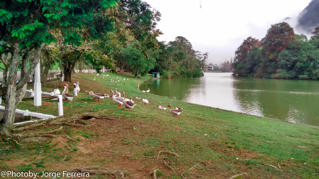 Lago Comary 