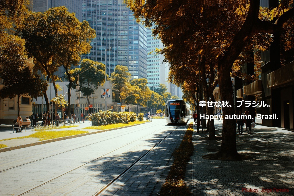 Feliz Outono - Brasil - Rio de Janeiro