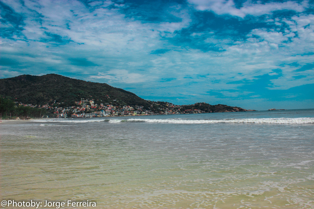 Restinga Marambaia - RJ - Brasil