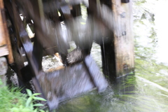 IMG_1447