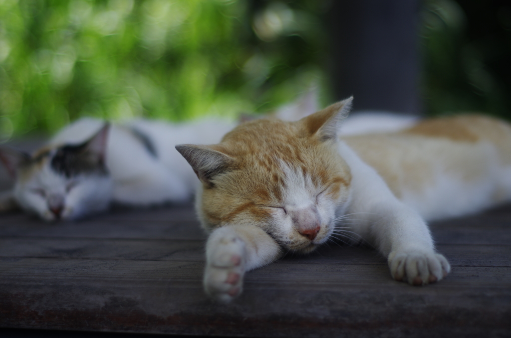 眠る４