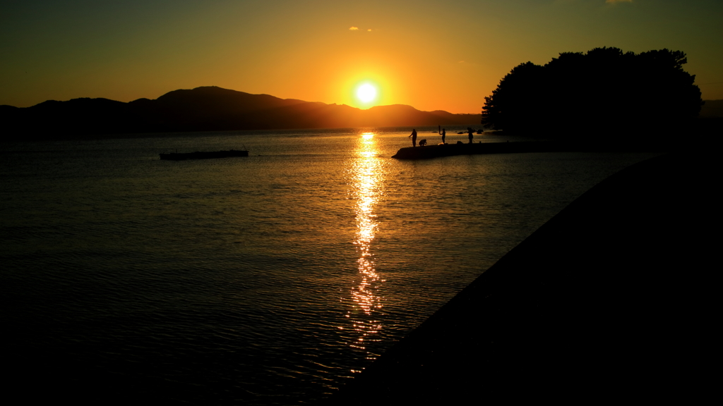 夕陽が釣れました