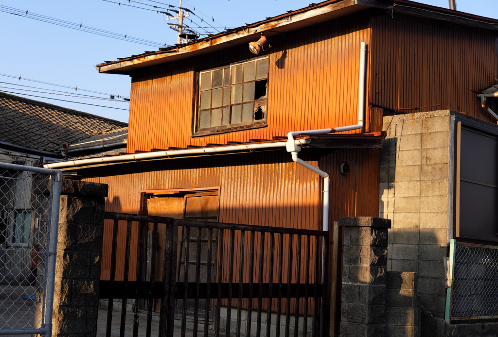 誇らしげな横顔