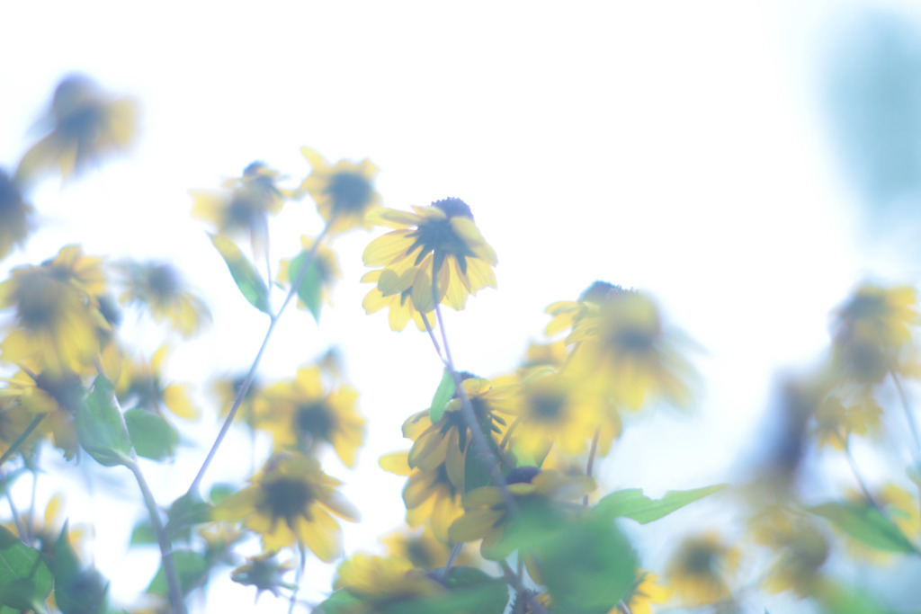 夏はお世話になりました(｡･ω･)ﾉﾞ 