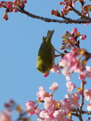 お願いだからじっとしてて_3