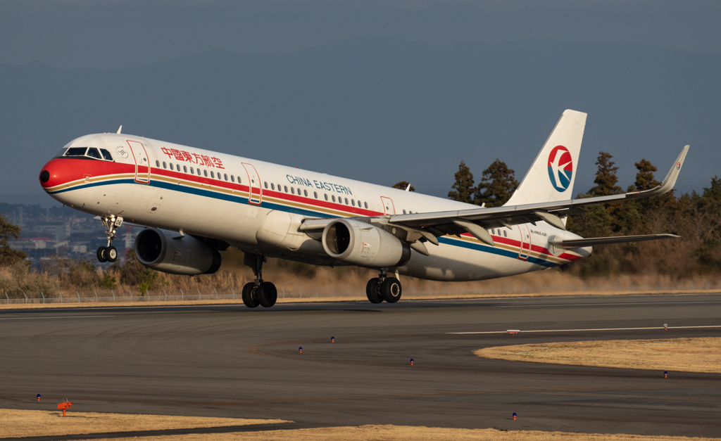 今年の初飛行機撮影
