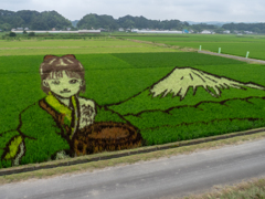田んぼアート_1