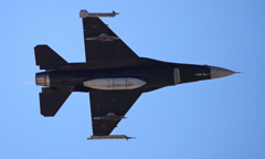 F-16 Aggressor