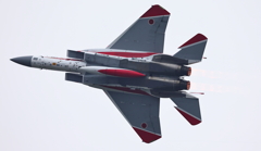 F15