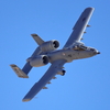 A10
