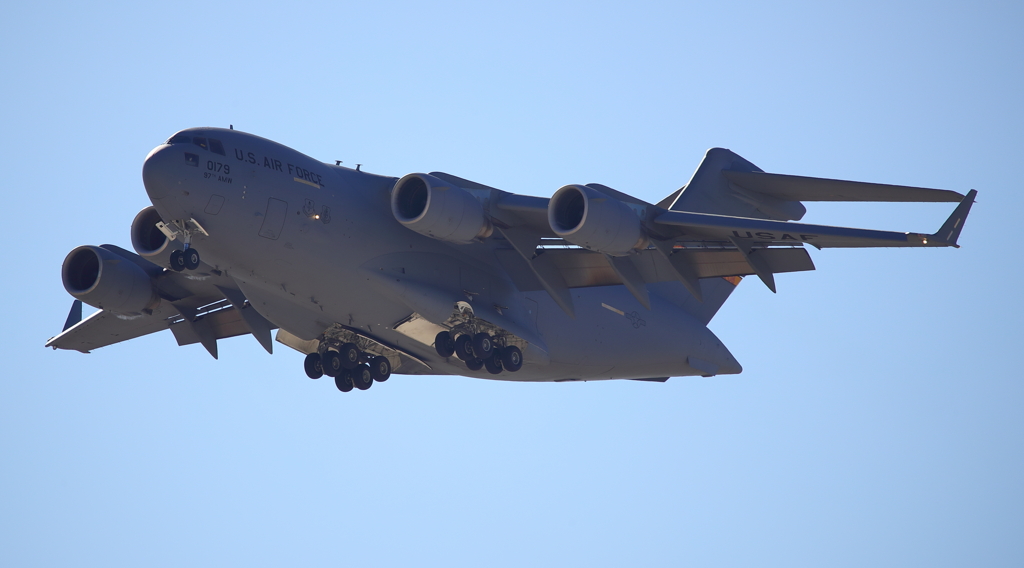 大きいの　C-17