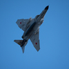 RF4E