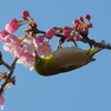 お願いだからじっとしてて_2