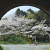 トンネルを抜けると…