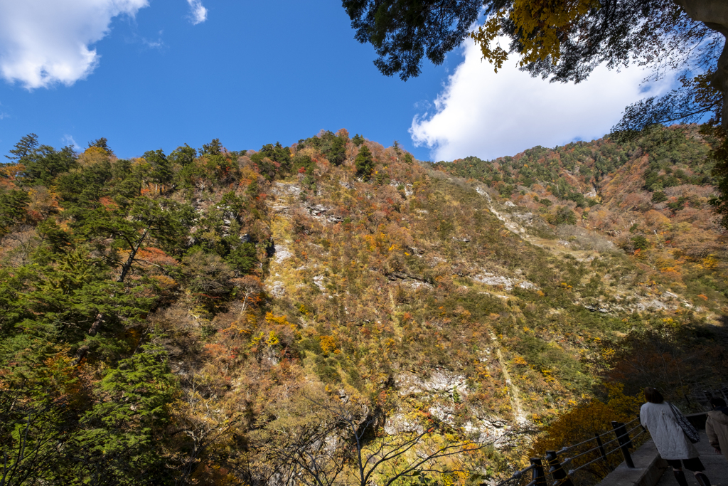 秋色 黒部峡谷鉄道_5