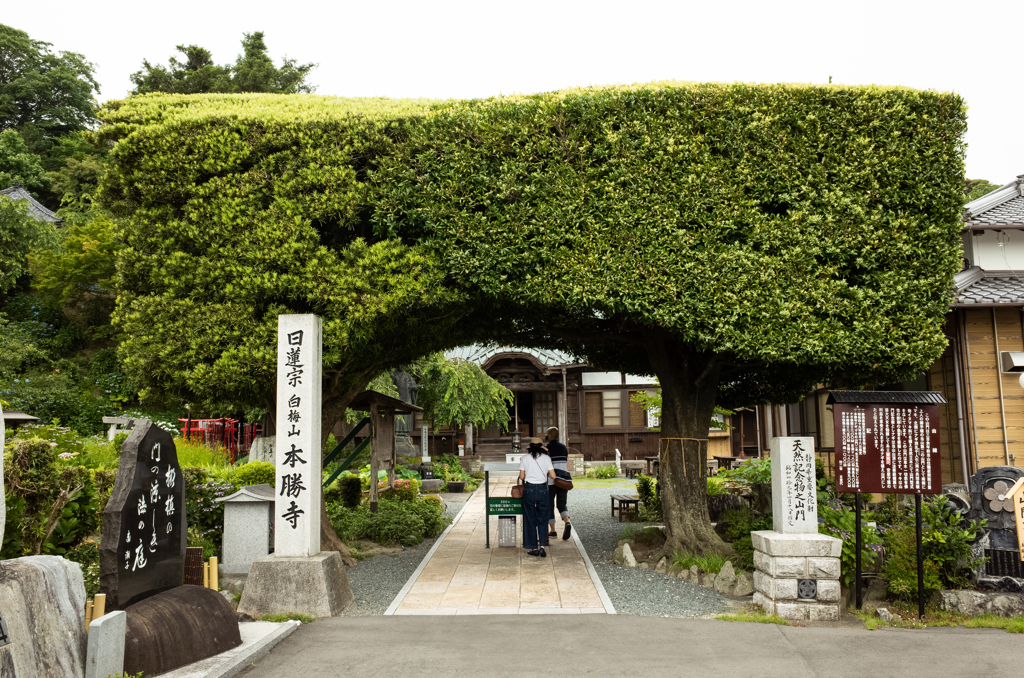 天然の山門