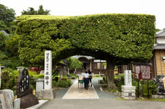 天然の山門