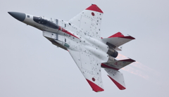 F15