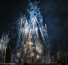 Celebrate! Tokyo Disneyland！