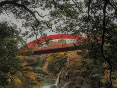 高津戸峡