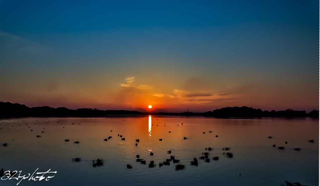 多々良沼の夕焼け空