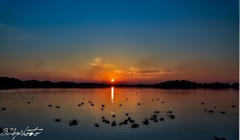 多々良沼の夕焼け空