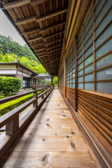 初夏の風
