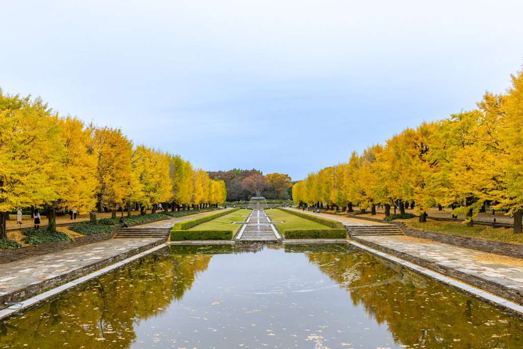 国営昭和記念公園の秋
