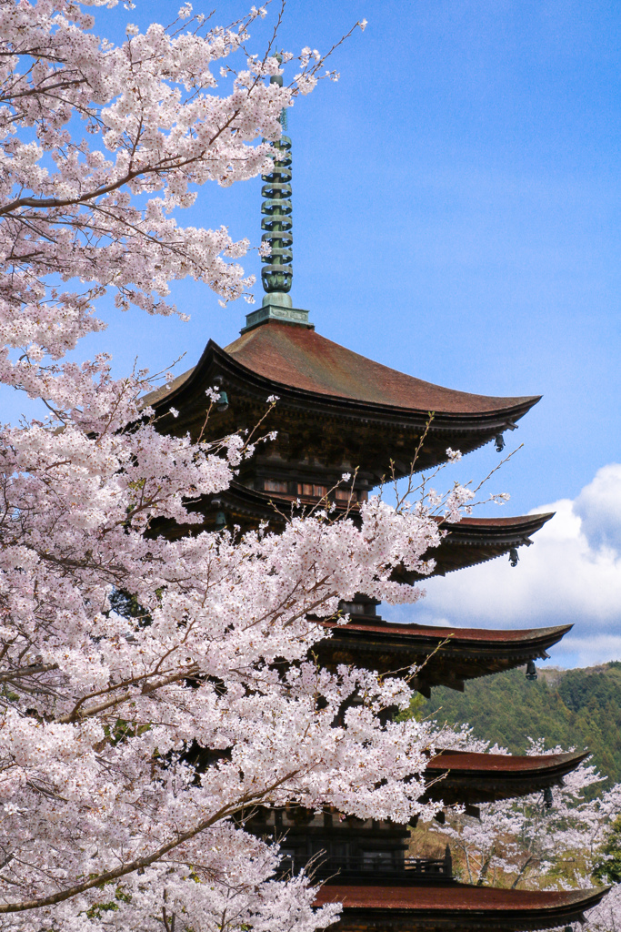 瑠璃光寺五重塔