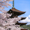 瑠璃光寺五重塔