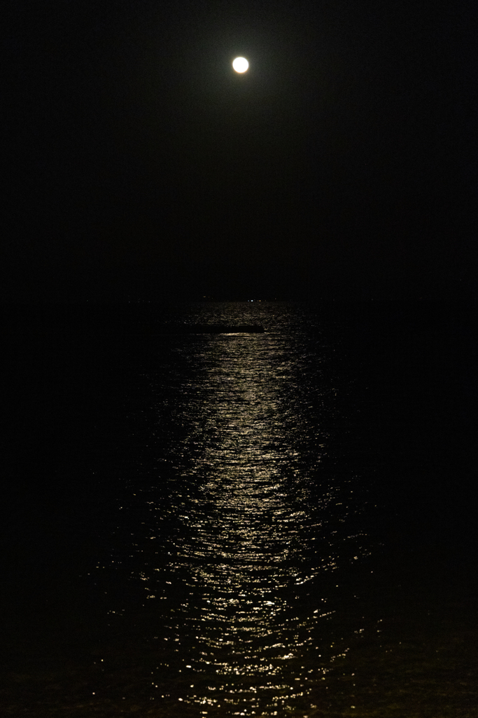 錦江湾に浮かぶ月