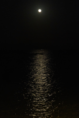 錦江湾に浮かぶ月
