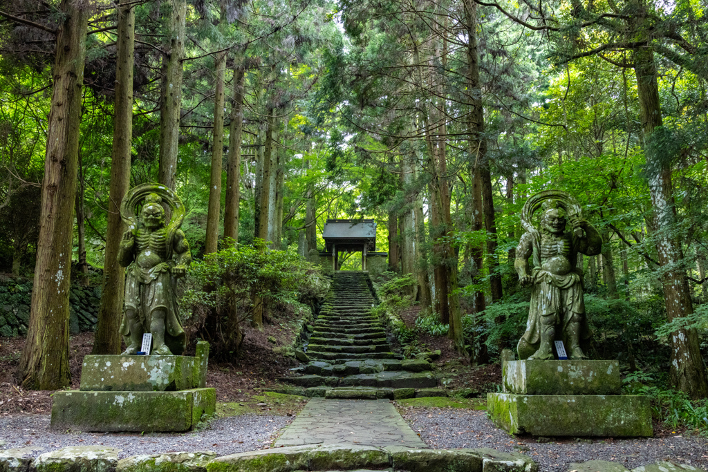 両子（ふたご）寺の双子（ふたご）の仁王像？