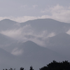 雨上がり