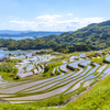 大浦の棚田