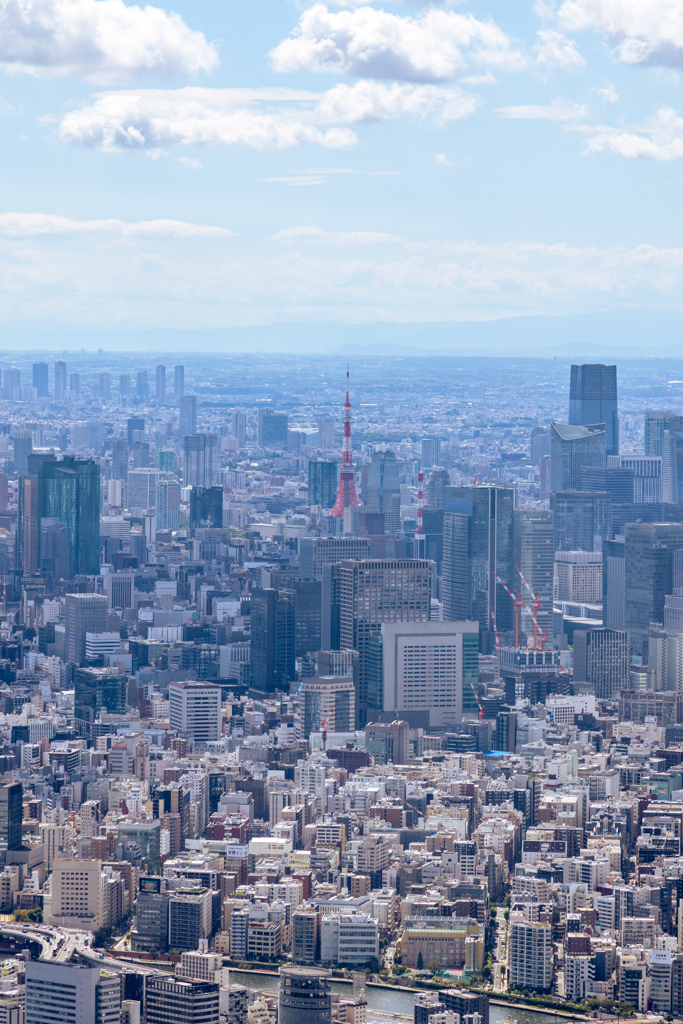 東京スカイツリーから