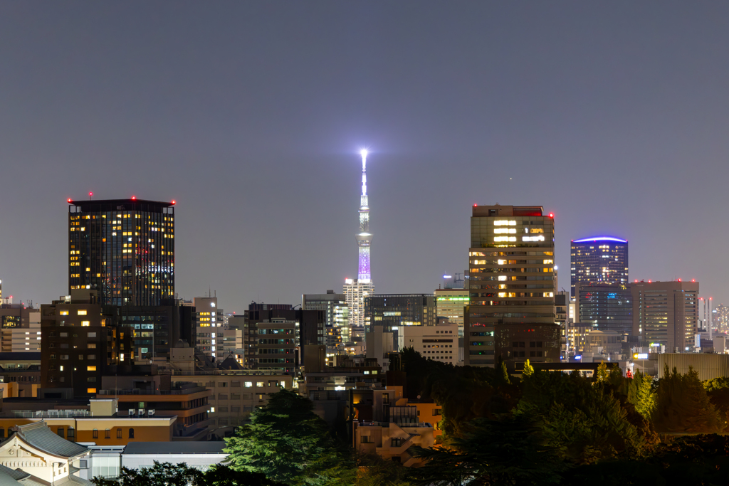 とある場所から（夜景編）