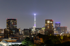 とある場所から（夜景編）