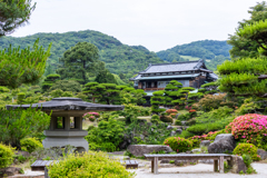緑に囲まれて